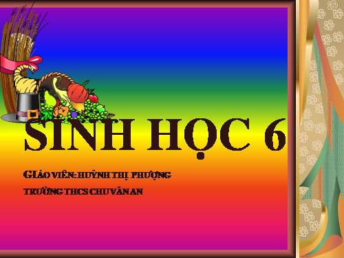 Bài 18. Biến dạng của thân