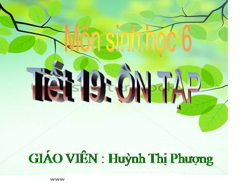 Sinh 6 tiết 19