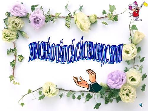 Bài 17. Vận chuyển các chất trong thân