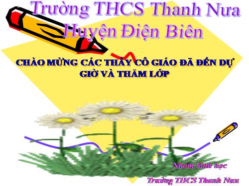 Bài 20. Cấu tạo trong của phiến lá