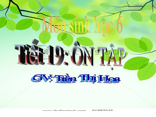 Tiết 19: Ôn tập