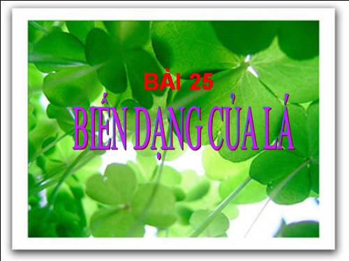 Bài 25. Biến dạng của lá