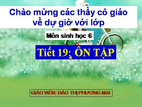 tiết 19: ôn tập (hay)