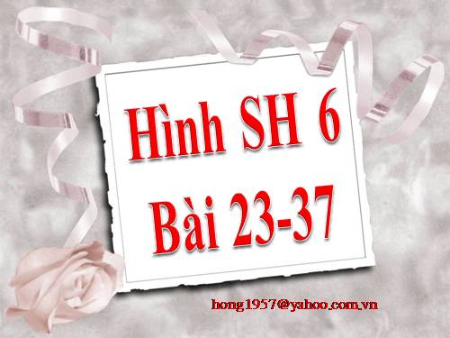 Hình bài 23 - 37