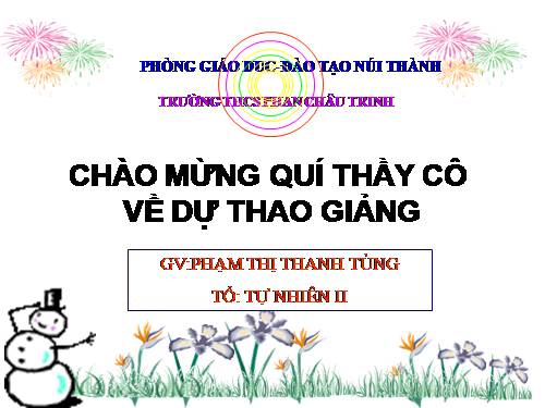 Bài 13. Cấu tạo ngoài của thân