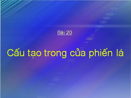 Bài 20. Cấu tạo trong của phiến lá