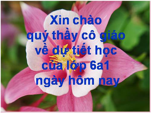 Bài 12. Biến dạng của rễ