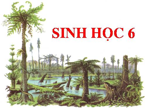 Bài 44. Sự phát triển của giới Thực vật