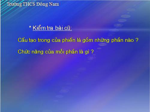 Bài 21. Quang hợp