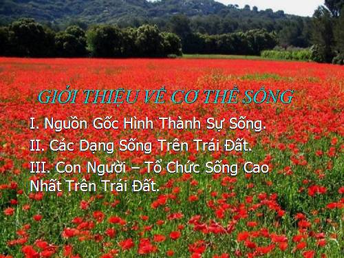 Giới Thiệu Về Cơ Thể Sống