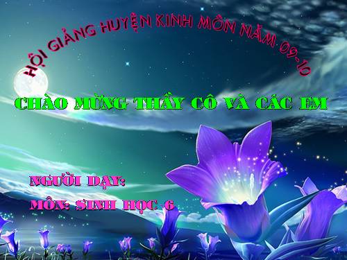 Bài 23. Cây có hô hấp không?