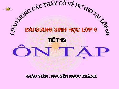 Tiết 19.Ôn tập
