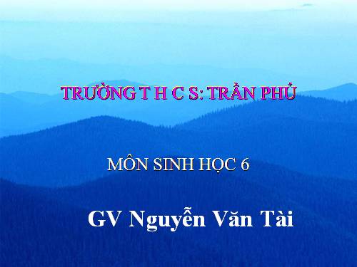 Bài 15. Cấu tạo trong của thân non