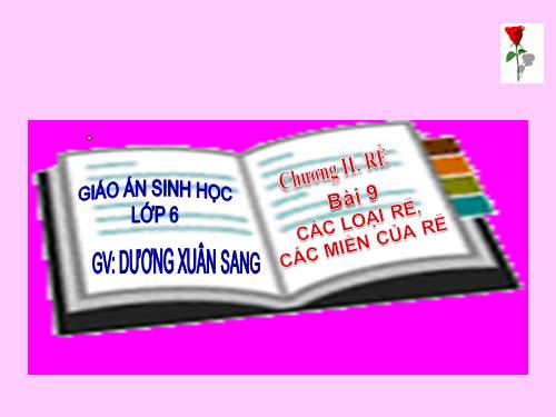 Bài 9. Các loại rễ, các miền của rễ