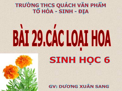 Bài 29. Các loại hoa