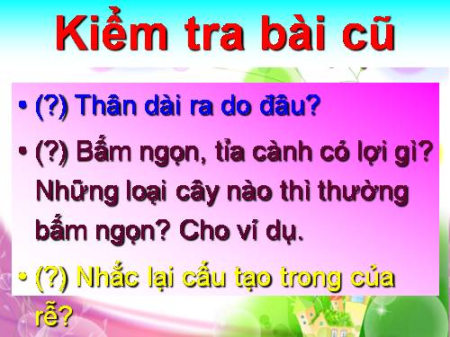 Bài 15. Cấu tạo trong của thân non