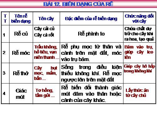 Bài 12. Biến dạng của rễ