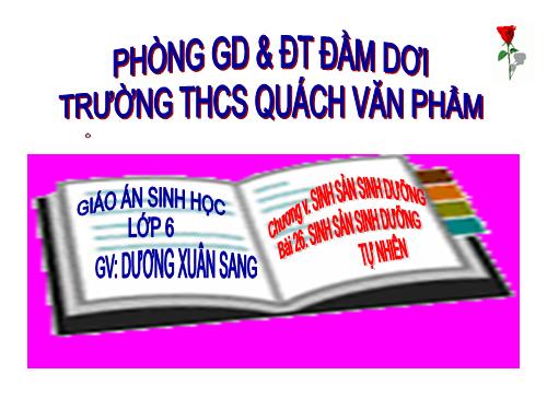 Bài 26. Sinh sản sinh dưỡng tự nhiên