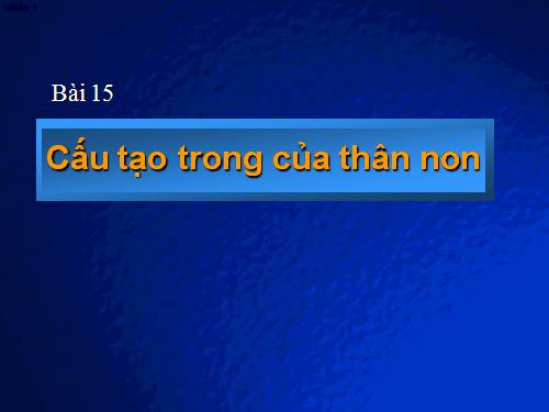 Bài 15. Cấu tạo trong của thân non