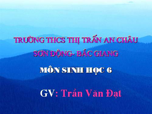 Bài 15. Cấu tạo trong của thân non