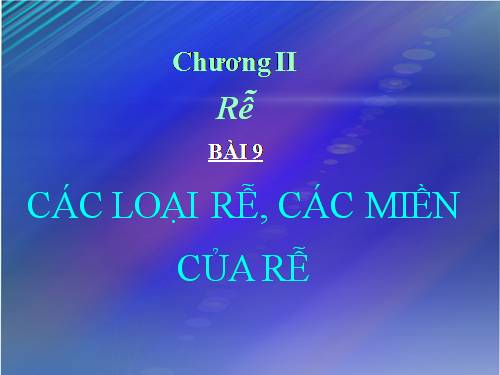 Bài 9. Các loại rễ, các miền của rễ