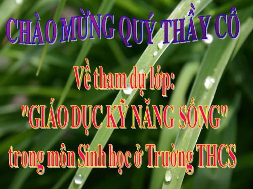 BAI GIANG VỀ KNS