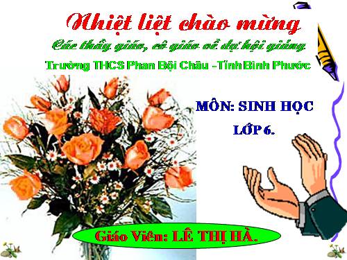 Bài 20. Cấu tạo trong của phiến lá