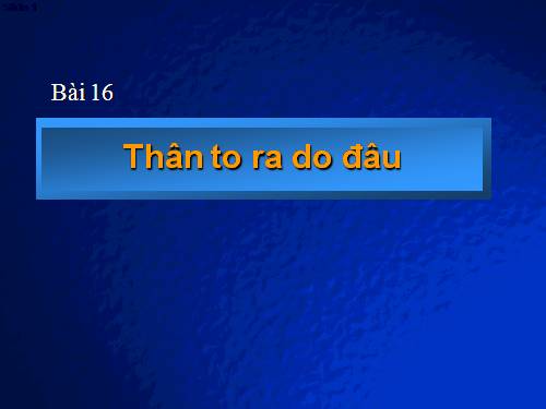 Bài 16. Thân to ra do đâu ?