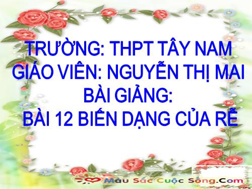 Bài 12. Biến dạng của rễ