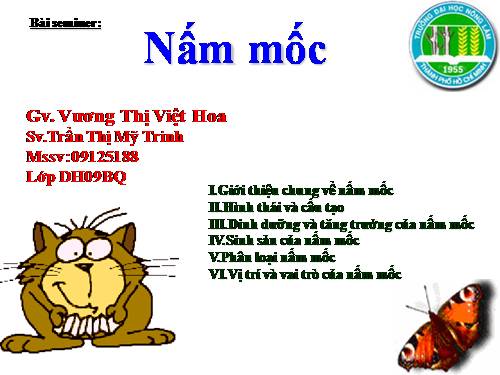 Bài 51. Nấm