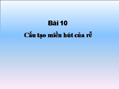 Bài 10. Cấu tạo miền hút của rễ