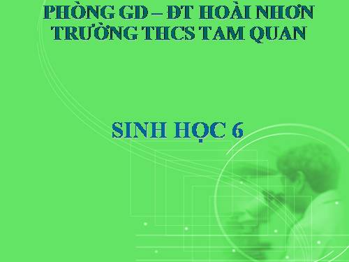 Bài 12. Biến dạng của rễ