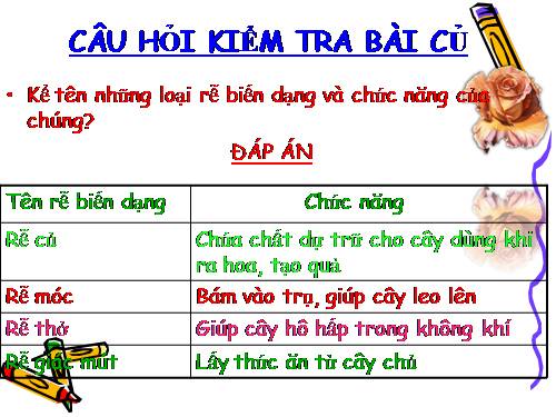 Bài 13. Cấu tạo ngoài của thân