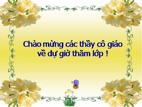 Bài 9. Các loại rễ, các miền của rễ