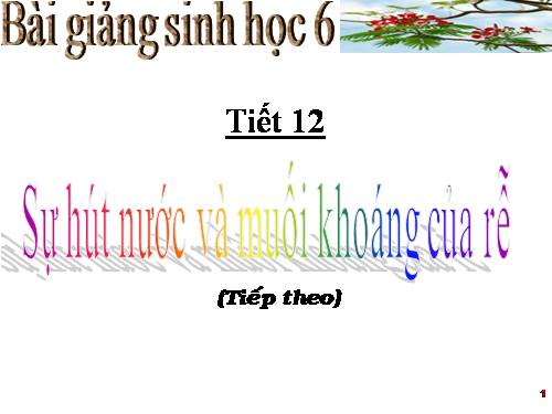 Bài 11. Sự hút nước và muối khoáng của rễ