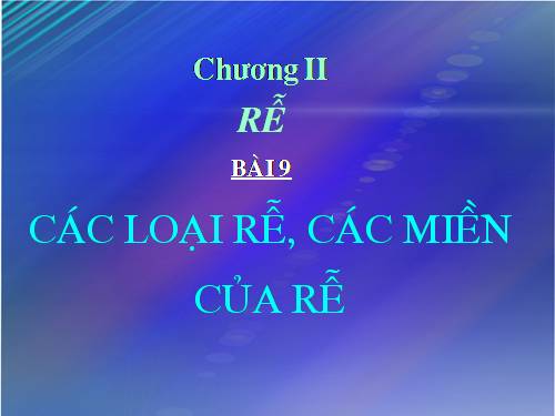 Bài 9. Các loại rễ, các miền của rễ