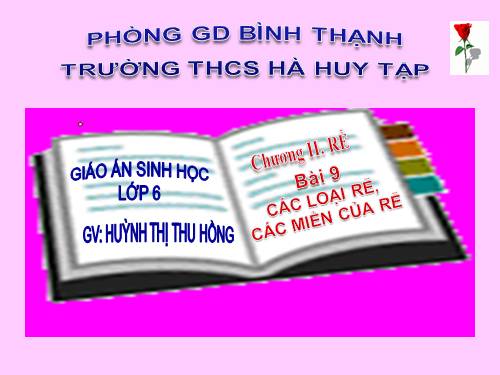 Bài 9. Các loại rễ, các miền của rễ