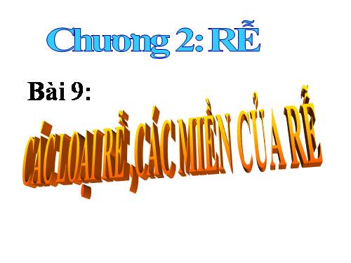 Bài 9. Các loại rễ, các miền của rễ