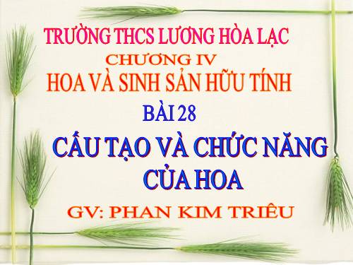 Bài 28. Cấu tạo và chức năng của hoa