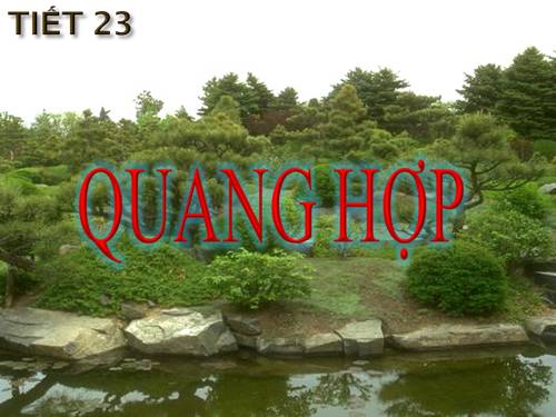 Bài 21. Quang hợp