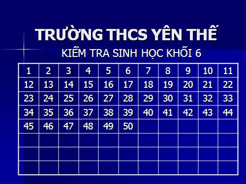 kiem tra