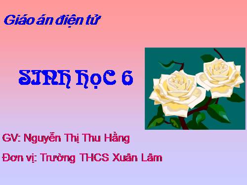 Bài 32. Các loại quả