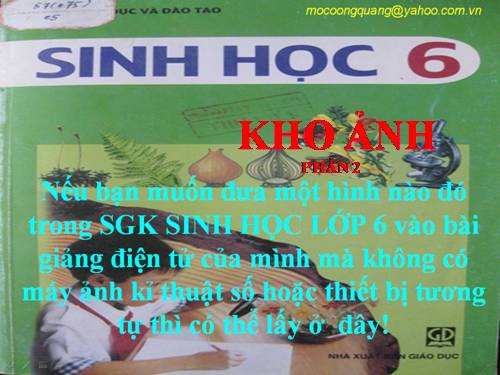 KHO ẢNH SINH HỌC 6 (PHẦN 2)