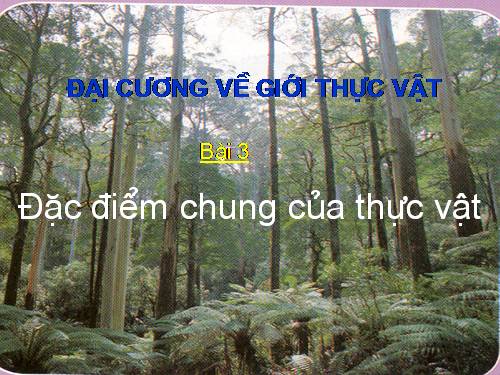 Bài 3. Đặc điểm chung của thực vật