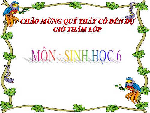 Bài 45. Nguồn gốc cây trồng