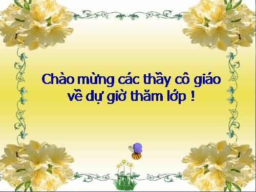 bài 9: CÁC LOẠI RỄ, CÁC MIỀN CỦA RỄ