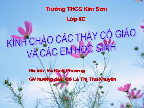 Bài 44. Sự phát triển của giới Thực vật