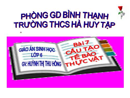 Bài 7. Cấu tạo tế bào thực vật