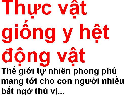 THỰC VẬT GIỐNG ĐỘNG VẬT.