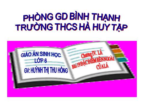 Bài 19. Đặc điểm bên ngoài của lá